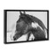 Stupell Industries Draisma Horse Looking Left Floating Frame, design by Amy Carroll